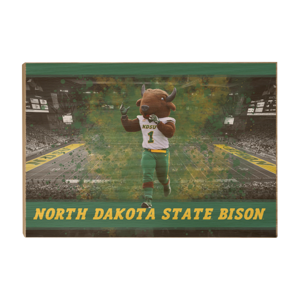 North Dakota State Bison - Thundar s North Dakota State Bison For Sale