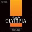 Olympia AGS120 12-string Acoustic Guitar Strings (Light 010-047) Hot on Sale