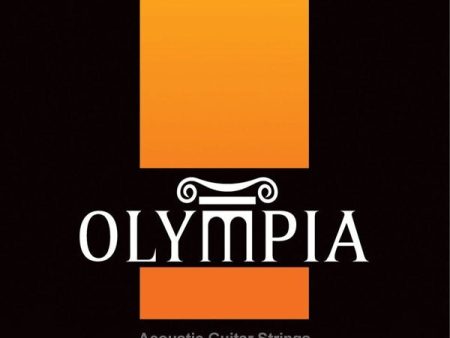 Olympia AGS120 12-string Acoustic Guitar Strings (Light 010-047) Hot on Sale