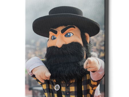 Appalachian State Mountaineers - Yosef is in the House on Sale