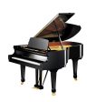 C.Bechstein Grand Piano Academy A190 Discount