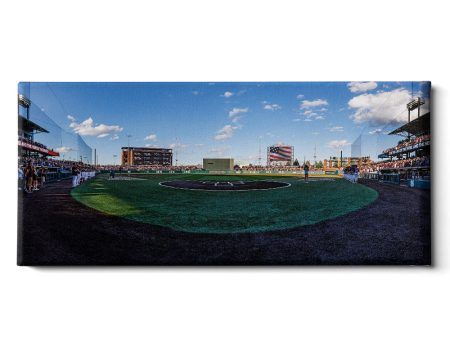 Mississippi State Bulldogs - Baseball Stars & Stripes Panoramic Online Sale