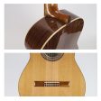 Raimundo 124 Cedar Classical Guitar Supply