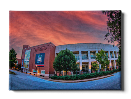 Auburn Tigers - Auburn Arena Cheap