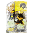 Iowa Hawkeyes - Iowa Hawkeyes Herky on the 50 Watercolor Online