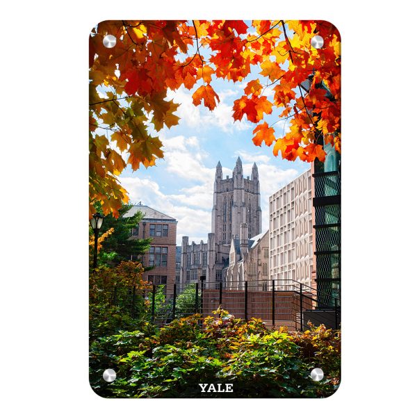 Yale Bulldogs - Sheffield-Sterling-Strathcona Hall Fall Fashion