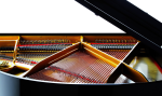 PETROF Grand Piano P159 Bora Black Hot on Sale