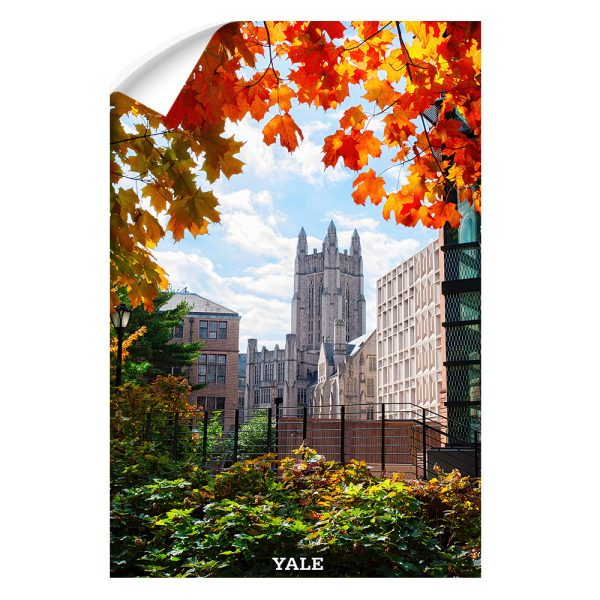 Yale Bulldogs - Sheffield-Sterling-Strathcona Hall Fall Fashion