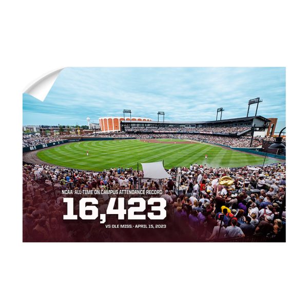 Mississippi State Bulldogs - 16,423 Online