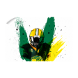 North Dakota State Bison - NDSU Football Paint Online Sale