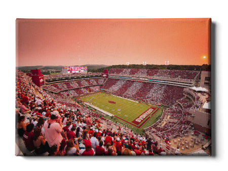 Arkansas Razorbacks - Aerial Donald W. Reynolds Razorback Stadium on Sale