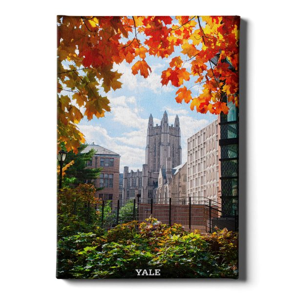 Yale Bulldogs - Sheffield-Sterling-Strathcona Hall Fall Fashion