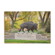 North Dakota State Bison - North Dakota State University For Sale