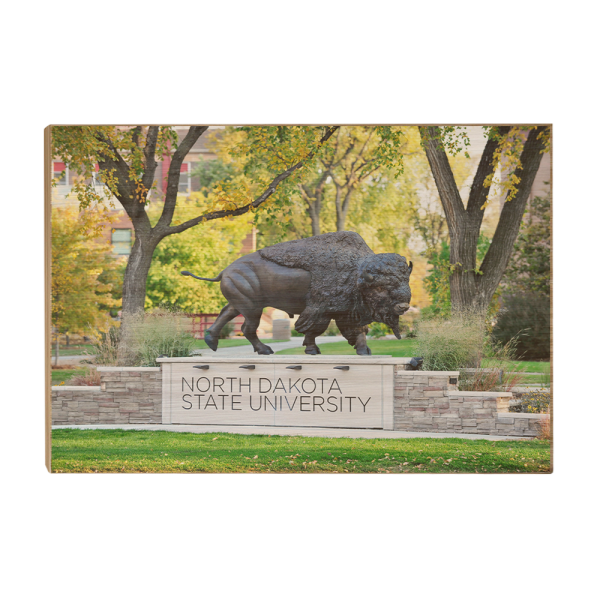 North Dakota State Bison - North Dakota State University For Sale