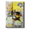 Iowa Hawkeyes - Iowa Hawkeyes Herky on the 50 Watercolor Online