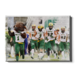 North Dakota State Bison - NDSU Running onto the Field Watercolor Cheap