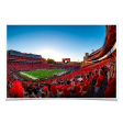 Georgia Bulldogs - Gooooo Georgia Online Hot Sale