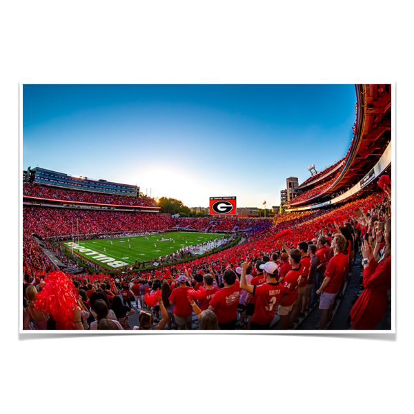 Georgia Bulldogs - Gooooo Georgia Online Hot Sale