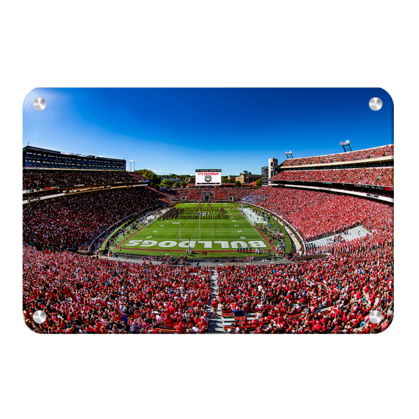 Georgia Bulldogs - It s Saturday Hot on Sale