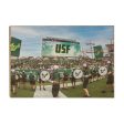 USF Bulls - Bulls Zone For Sale