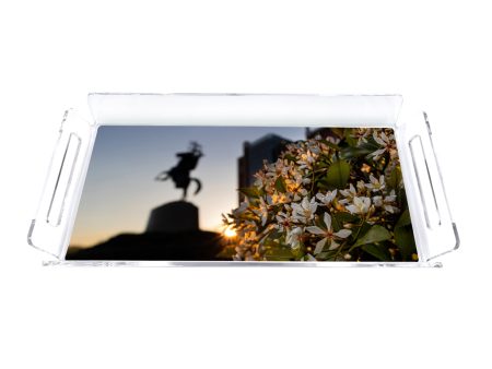 Florida State Seminoles - Unconquered Sunset Decorative Tray Online now