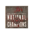 Georgia Bulldogs - Back-to-Back National Champions Fashion