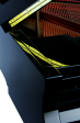 PETROF Grand Piano P159 Bora Black Hot on Sale