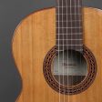 Alhambra Iberia Ziricote Guitar with bag Discount