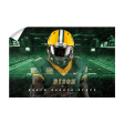 North Dakota State Bison - North Dakota State Football Hot on Sale