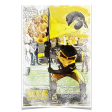 Iowa Hawkeyes - Iowa Hawkeyes Herky on the 50 Watercolor Online