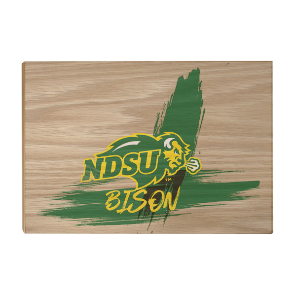 North Dakota State Bison - Paint Fashion