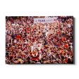 Auburn Tigers - Vintage Tiger Walk Online