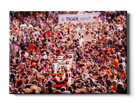 Auburn Tigers - Vintage Tiger Walk Online