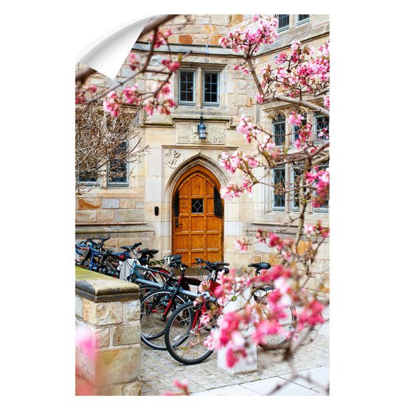 Yale Bulldogs - Saybrook College Spring Flowers Online Sale