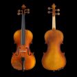 Violin - Pearl River - PR-V01 4 4 size Cheap