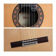 Alhambra 10 Premier Guitar with case Cheap