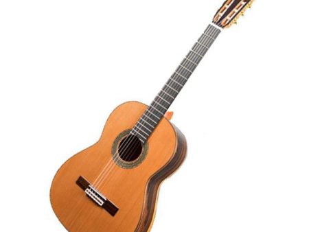 Raimundo 131 Cedar (Ziricote) Classical Guitar with bag Online Hot Sale