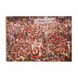 Auburn Tigers - Vintage Tiger Walk Online