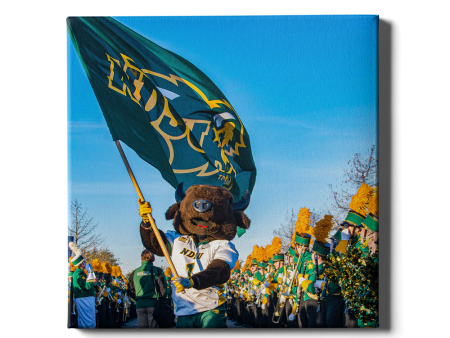 North Dakota State Bison - Thundar Team Walk For Discount