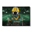 North Dakota State Bison - North Dakota State Football Hot on Sale