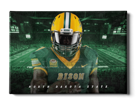 North Dakota State Bison - North Dakota State Football Hot on Sale