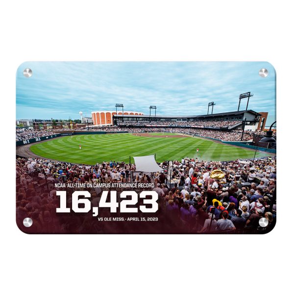 Mississippi State Bulldogs - 16,423 Online