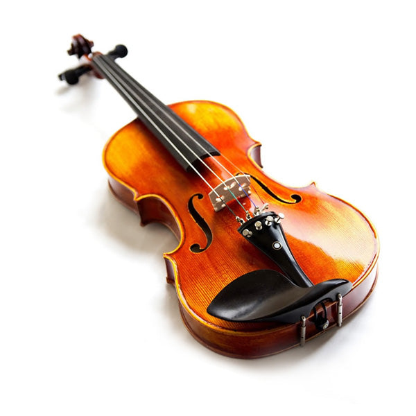 Violin - POPOLARE 44 Fashion