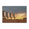 Tennessee Volunteers - Vols Sunset Supply