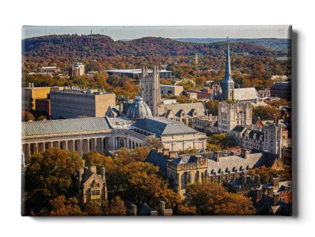 Yale Bulldogs - Yale Autumn Aerial Online