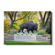 North Dakota State Bison - North Dakota State University For Sale