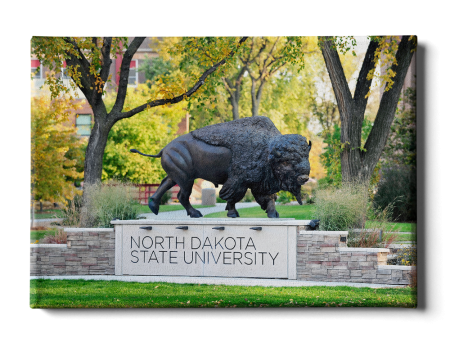 North Dakota State Bison - North Dakota State University For Sale