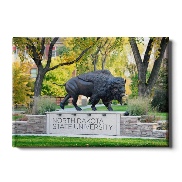 North Dakota State Bison - North Dakota State University For Sale