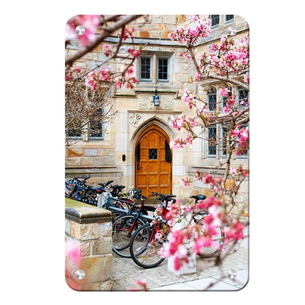 Yale Bulldogs - Saybrook College Spring Flowers Online Sale