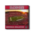 Georgia Bulldogs - 2021 Sanford Sunset National Champions Georgia Bulldogs For Sale